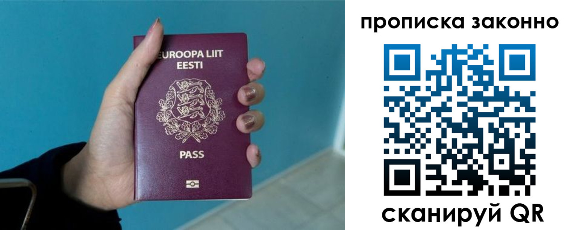 прописка гарантия в Долгопрудном